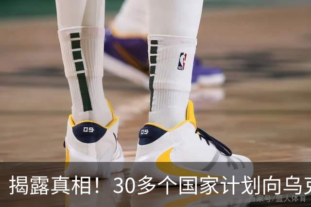 揭露真相！30多个国家计划向乌克兰派兵，背后阴暗动机令人警惕！
